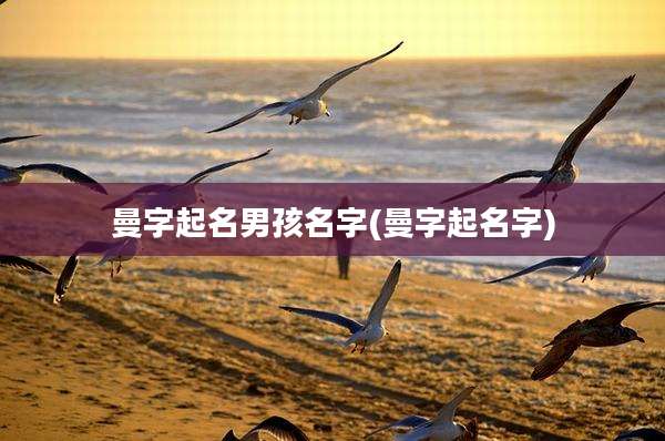 曼字起名男孩名字(曼字起名字)