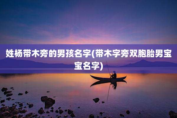 姓杨带木旁的男孩名字(带木字旁双胞胎男宝宝名字)