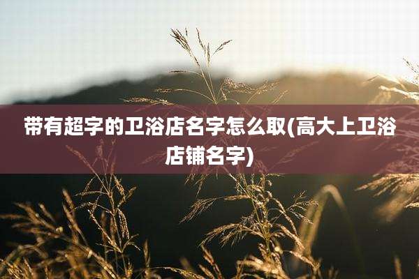 带有超字的卫浴店名字怎么取(高大上卫浴店铺名字)
