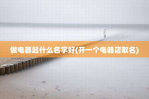 做电器起什么名字好(开一个电器店取名)