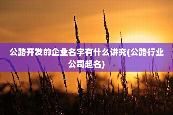 公路开发的企业名字有什么讲究(公路行业公司起名)