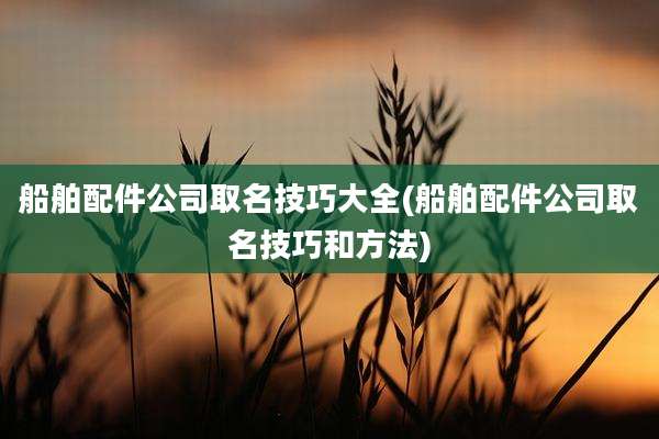 船舶配件公司取名技巧大全(船舶配件公司取名技巧和方法)