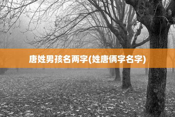 唐姓男孩名两字(姓唐俩字名字)