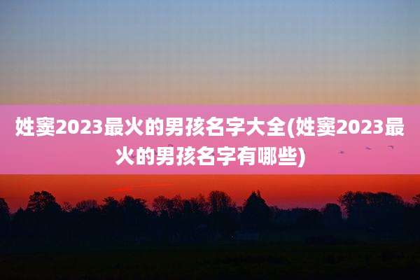 姓窦2023最火的男孩名字大全(姓窦2023最火的男孩名字有哪些)