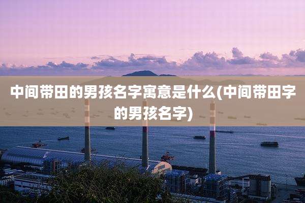 中间带田的男孩名字寓意是什么(中间带田字的男孩名字)