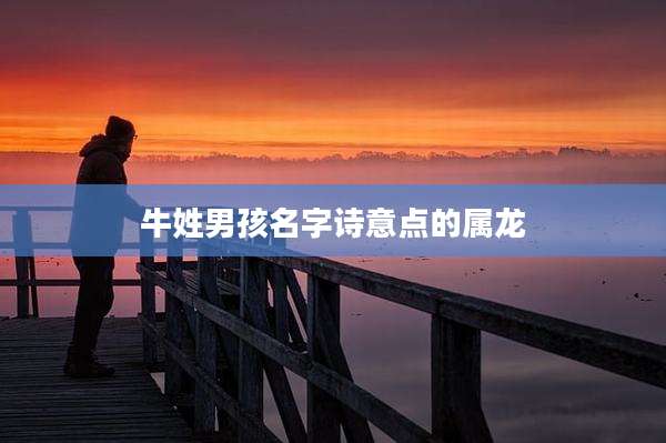 牛姓男孩名字诗意点的属龙