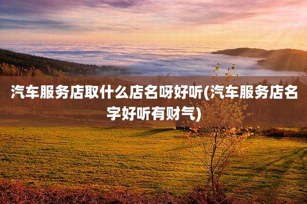汽车服务店取什么店名呀好听(汽车服务店名字好听有财气)