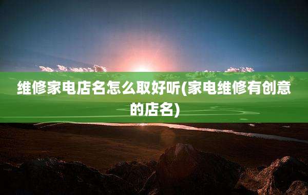 维修家电店名怎么取好听(家电维修有创意的店名)