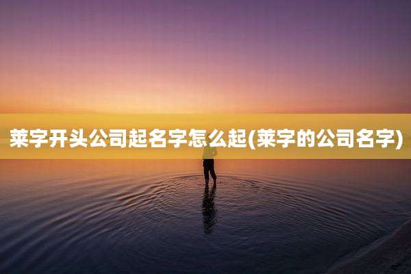 莱字开头公司起名字怎么起(莱字的公司名字)