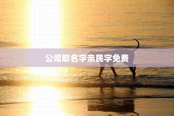 公司取名字亲民字免费