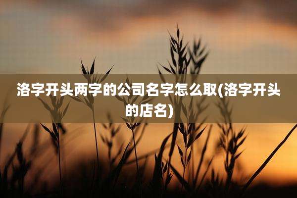 洛字开头两字的公司名字怎么取(洛字开头的店名)