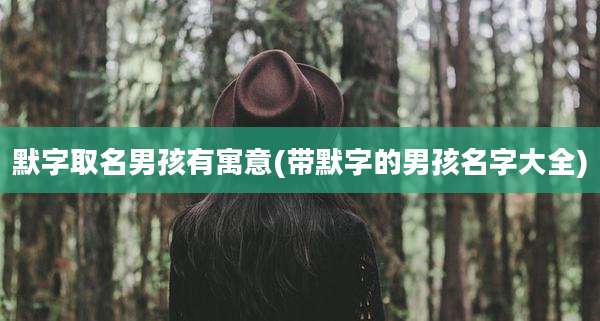 默字取名男孩有寓意(带默字的男孩名字大全)