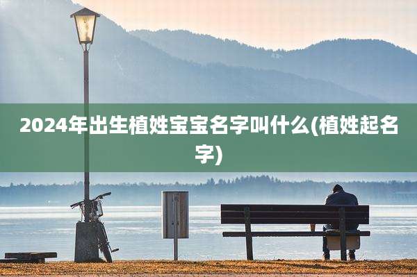 2024年出生植姓宝宝名字叫什么(植姓起名字)