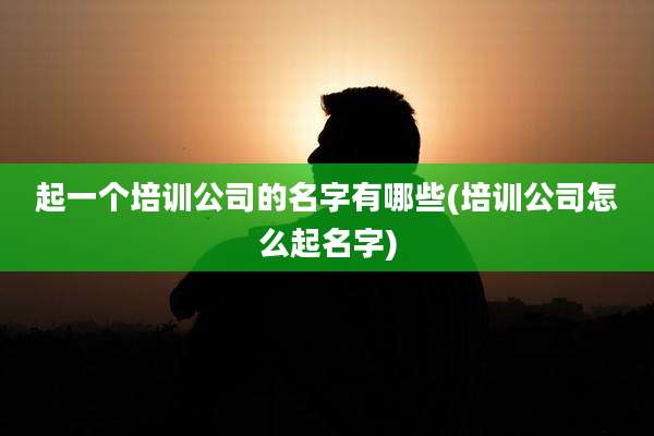 起一个培训公司的名字有哪些(培训公司怎么起名字)