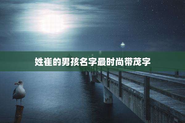 姓崔的男孩名字最时尚带茂字