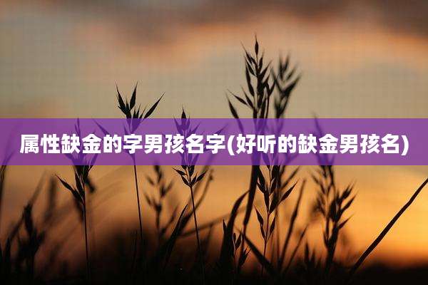 属性缺金的字男孩名字(好听的缺金男孩名)