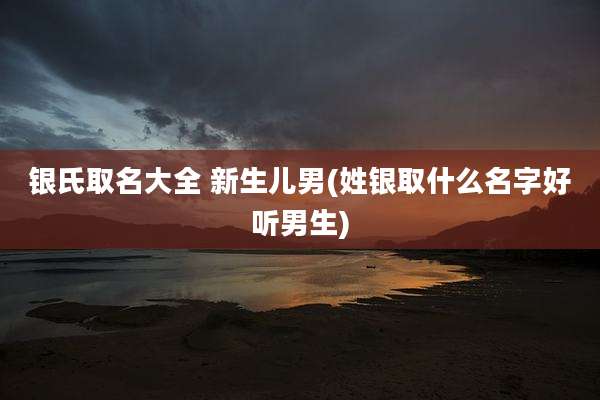 银氏取名大全 新生儿男(姓银取什么名字好听男生)