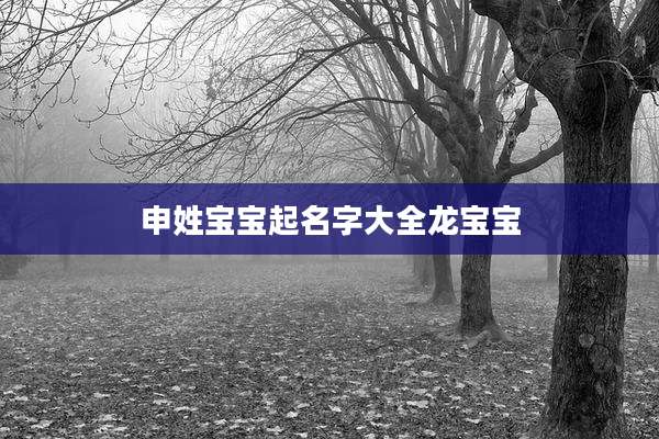申姓宝宝起名字大全龙宝宝