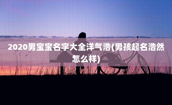 2020男宝宝名字大全洋气浩(男孩起名浩然怎么样)
