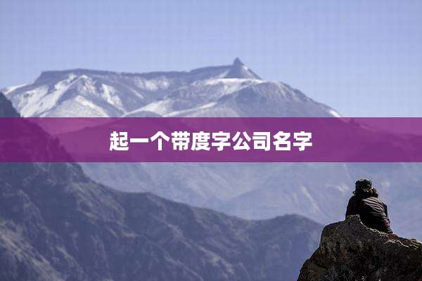 起一个带度字公司名字