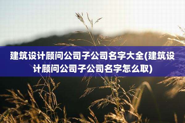 建筑设计顾问公司子公司名字大全(建筑设计顾问公司子公司名字怎么取)