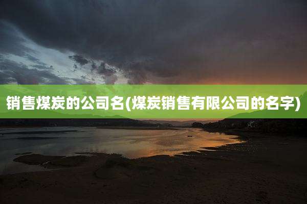 销售煤炭的公司名(煤炭销售有限公司的名字)
