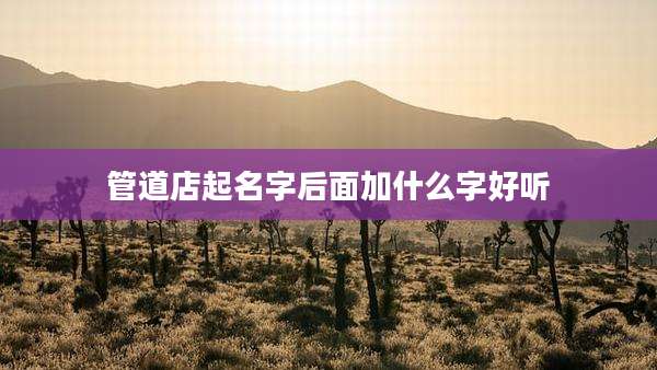 管道店起名字后面加什么字好听