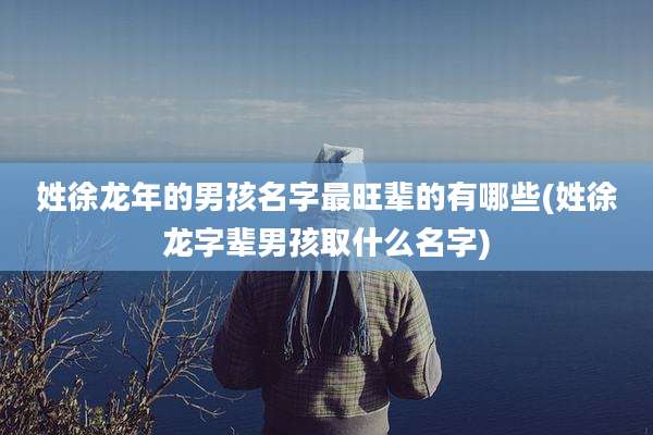姓徐龙年的男孩名字最旺辈的有哪些(姓徐龙字辈男孩取什么名字)