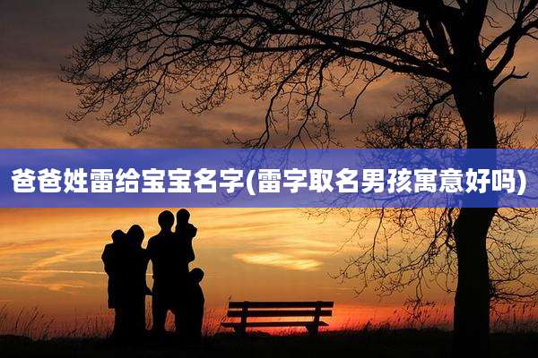 爸爸姓雷给宝宝名字(雷字取名男孩寓意好吗)