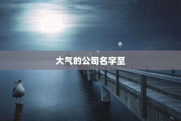 大气的公司名字至