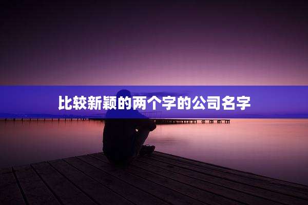 比较新颖的两个字的公司名字
