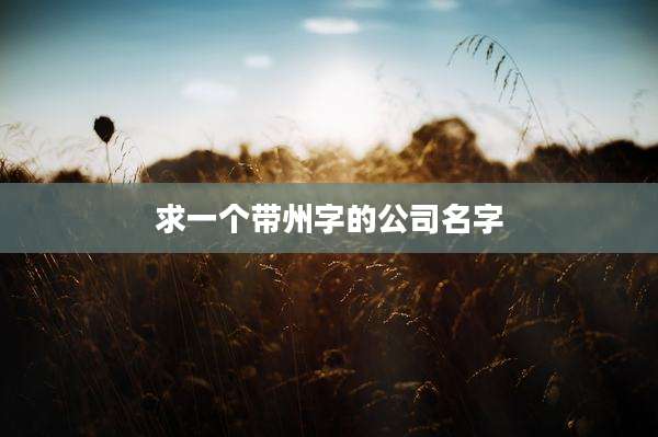 求一个带州字的公司名字