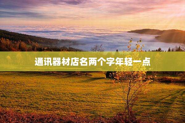 通讯器材店名两个字年轻一点