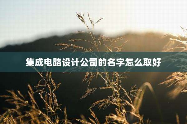 集成电路设计公司的名字怎么取好