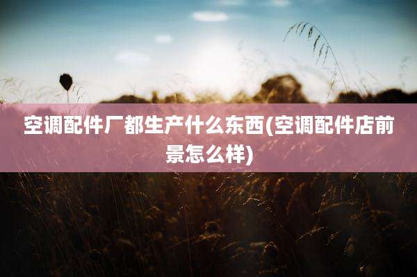 空调配件厂都生产什么东西(空调配件店前景怎么样)