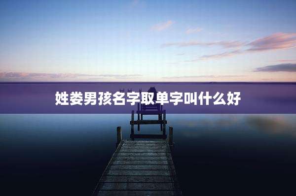 姓娄男孩名字取单字叫什么好
