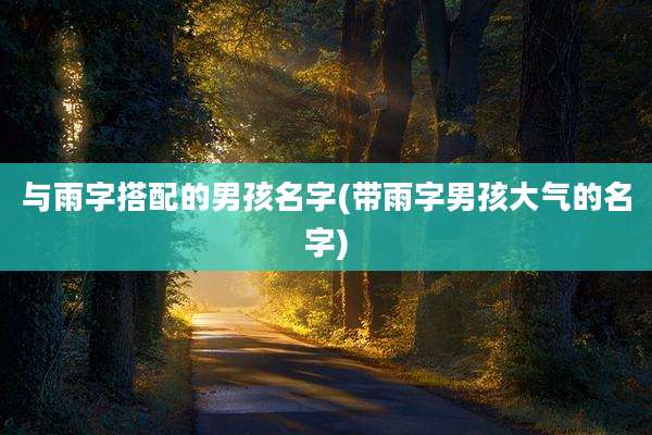 与雨字搭配的男孩名字(带雨字男孩大气的名字)