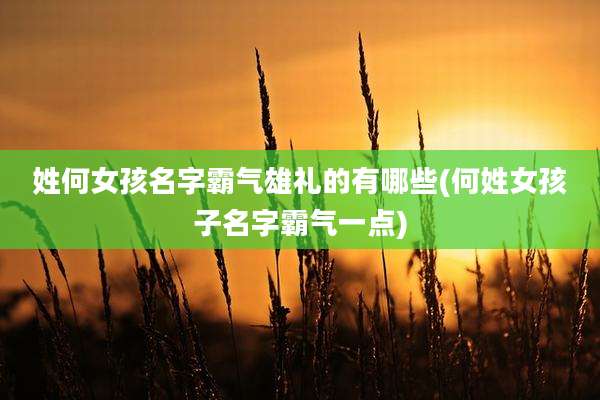 姓何女孩名字霸气雄礼的有哪些(何姓女孩子名字霸气一点)