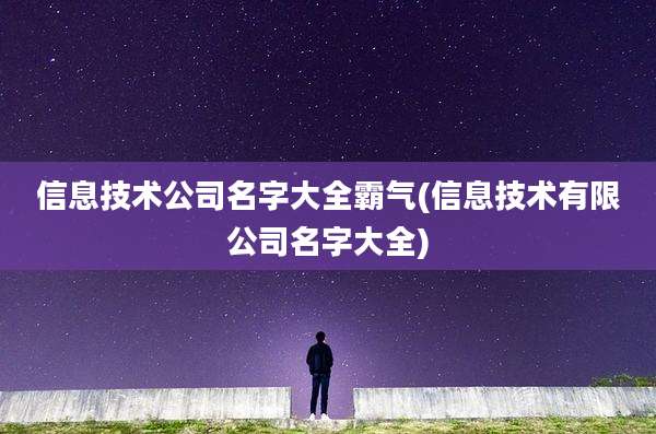信息技术公司名字大全霸气(信息技术有限公司名字大全)