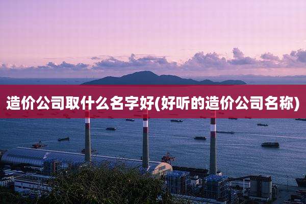 造价公司取什么名字好(好听的造价公司名称)