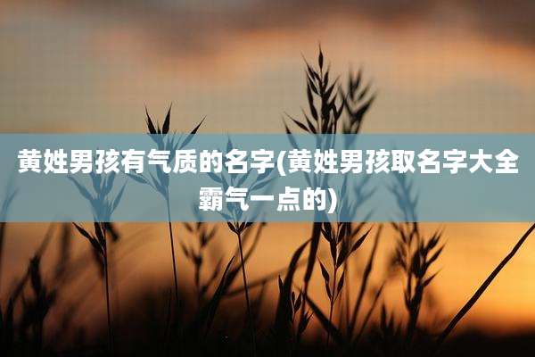 黄姓男孩有气质的名字(黄姓男孩取名字大全霸气一点的)