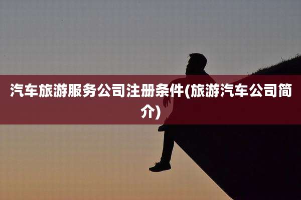汽车旅游服务公司注册条件(旅游汽车公司简介)