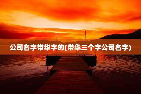 公司名字带华字的(带华三个字公司名字)
