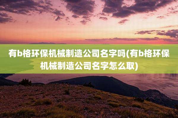 有b格环保机械制造公司名字吗(有b格环保机械制造公司名字怎么取)