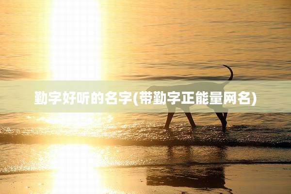 勤字好听的名字(带勤字正能量网名)
