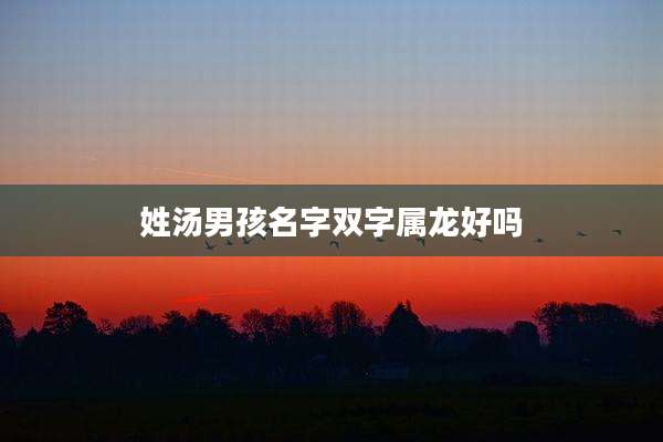 姓汤男孩名字双字属龙好吗