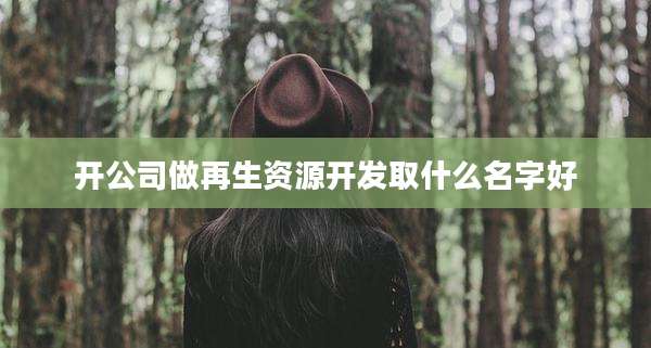 开公司做再生资源开发取什么名字好