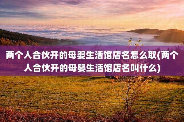 两个人合伙开的母婴生活馆店名怎么取(两个人合伙开的母婴生活馆店名叫什么)