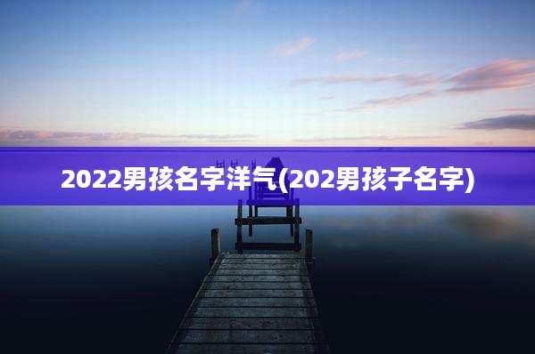 2022男孩名字洋气(202男孩子名字)