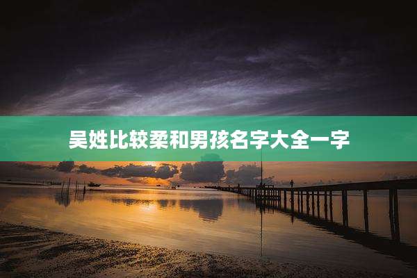 吴姓比较柔和男孩名字大全一字